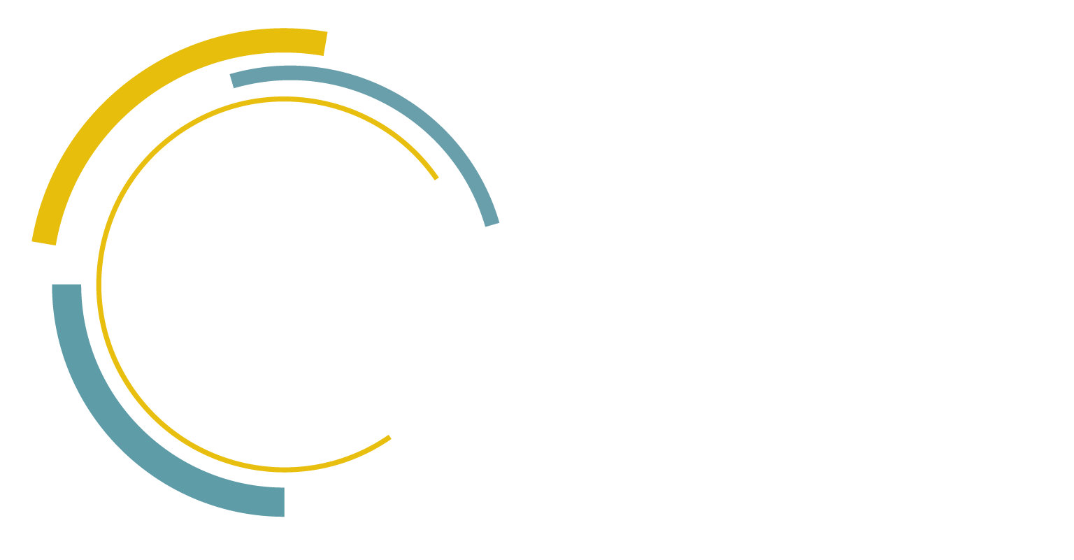 Synopsis Management
